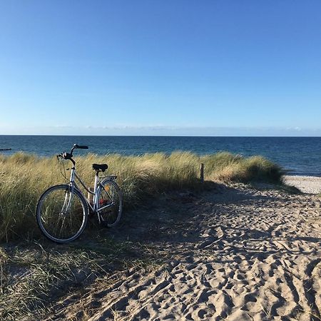 Strandperle 9, Pp Aussen Zingst Luaran gambar
